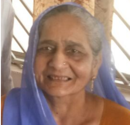 Badamidevi